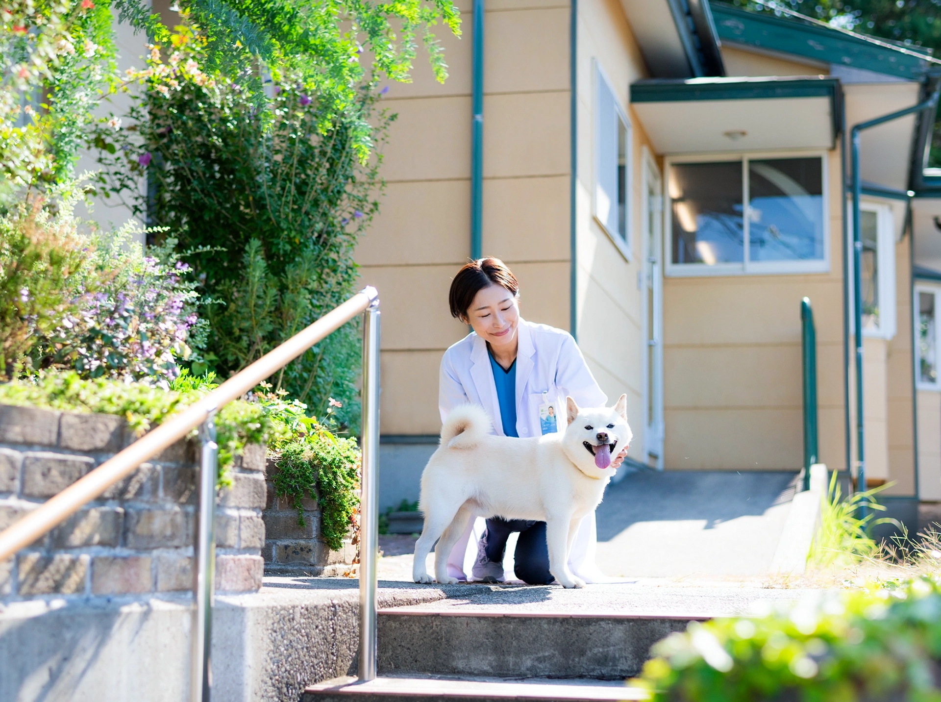 小島動物病院アニマルウェルネスセンター