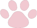 湘南動物愛護病院