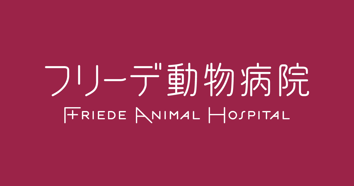 フリーデ動物病院