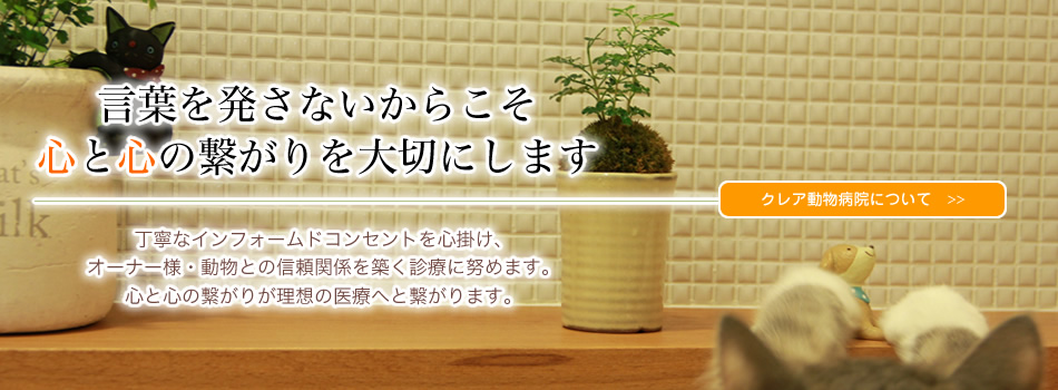 クレア動物病院