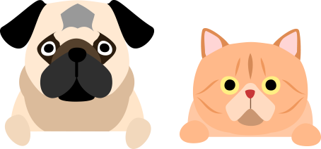 クレア動物病院