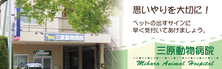 三原動物病院