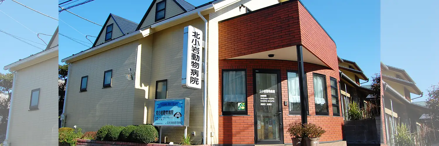 北小岩動物病院