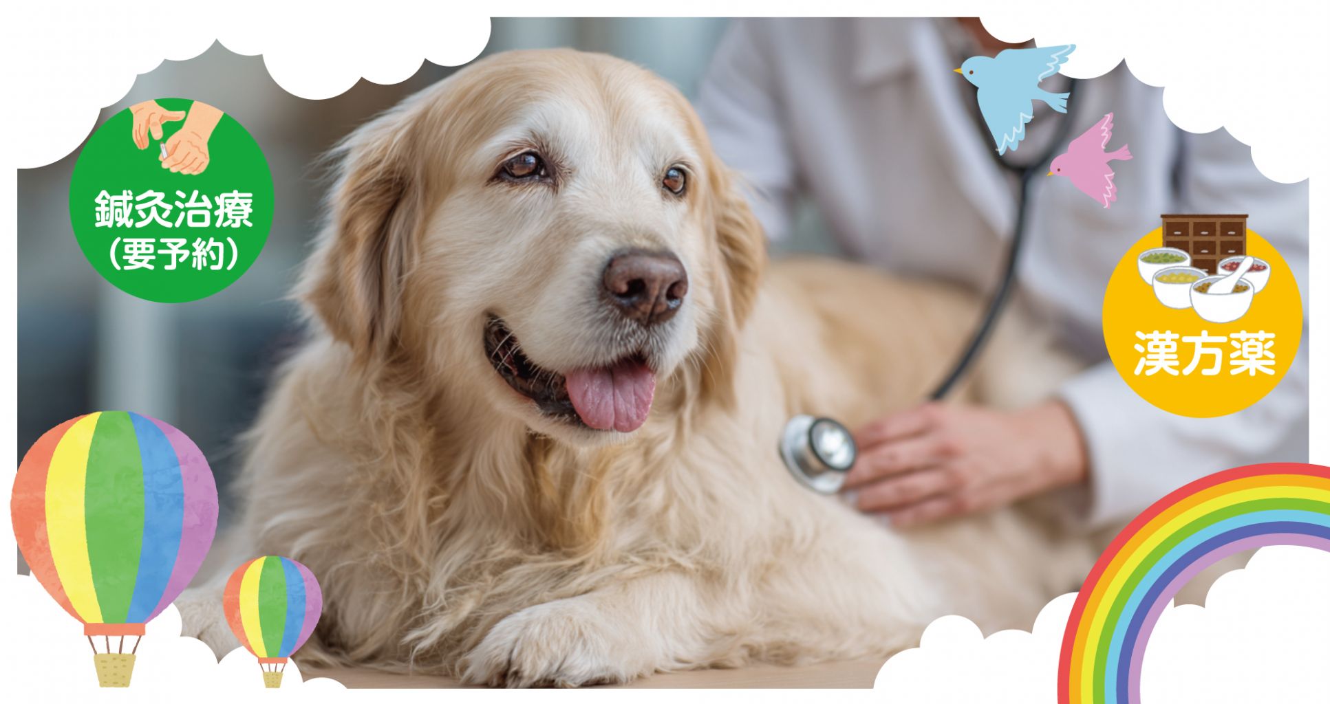 石岡中央動物病院