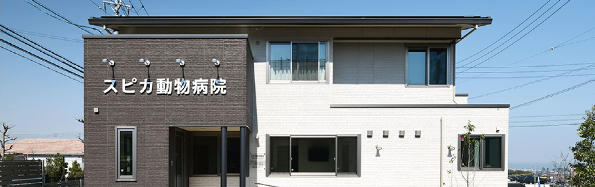 スピカ動物病院