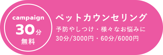 マンマ・ミーア動物病院