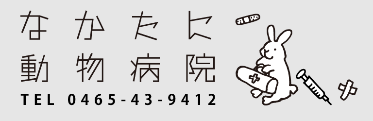 なかたに動物病院