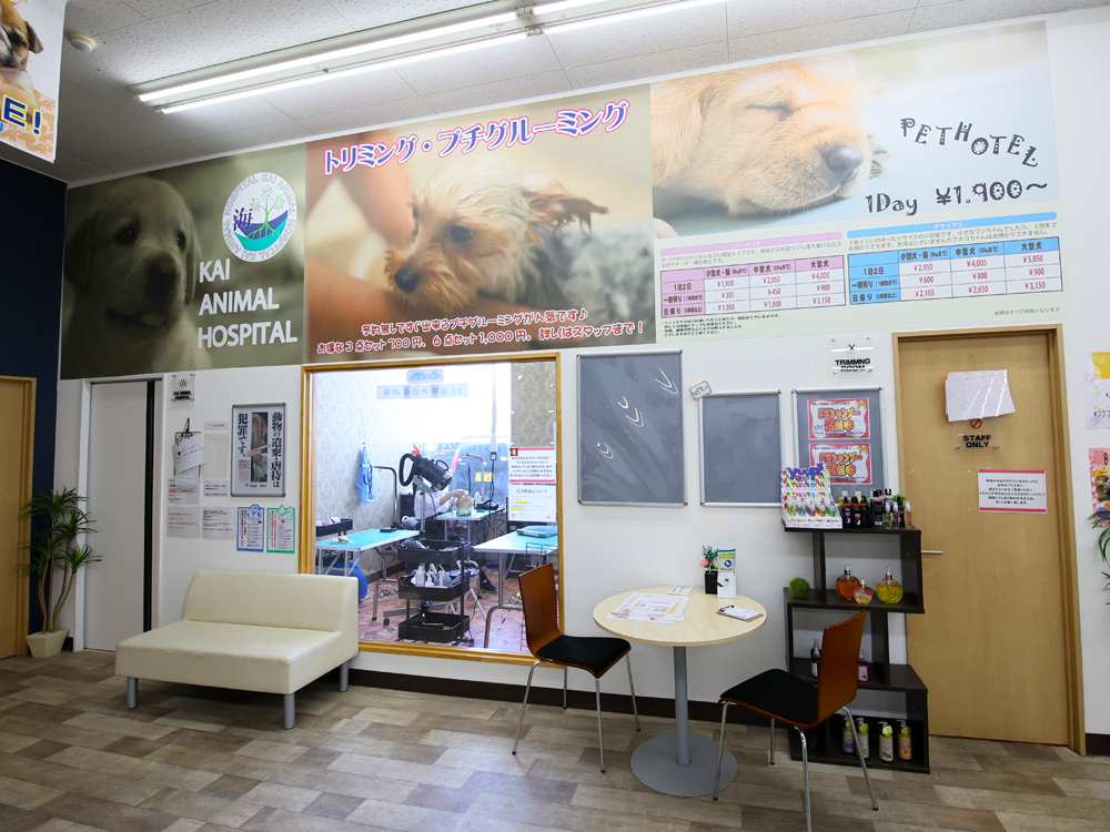 海動物病院　石巻往診所