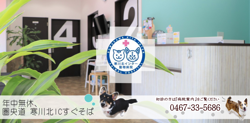 寒川北インター動物病院