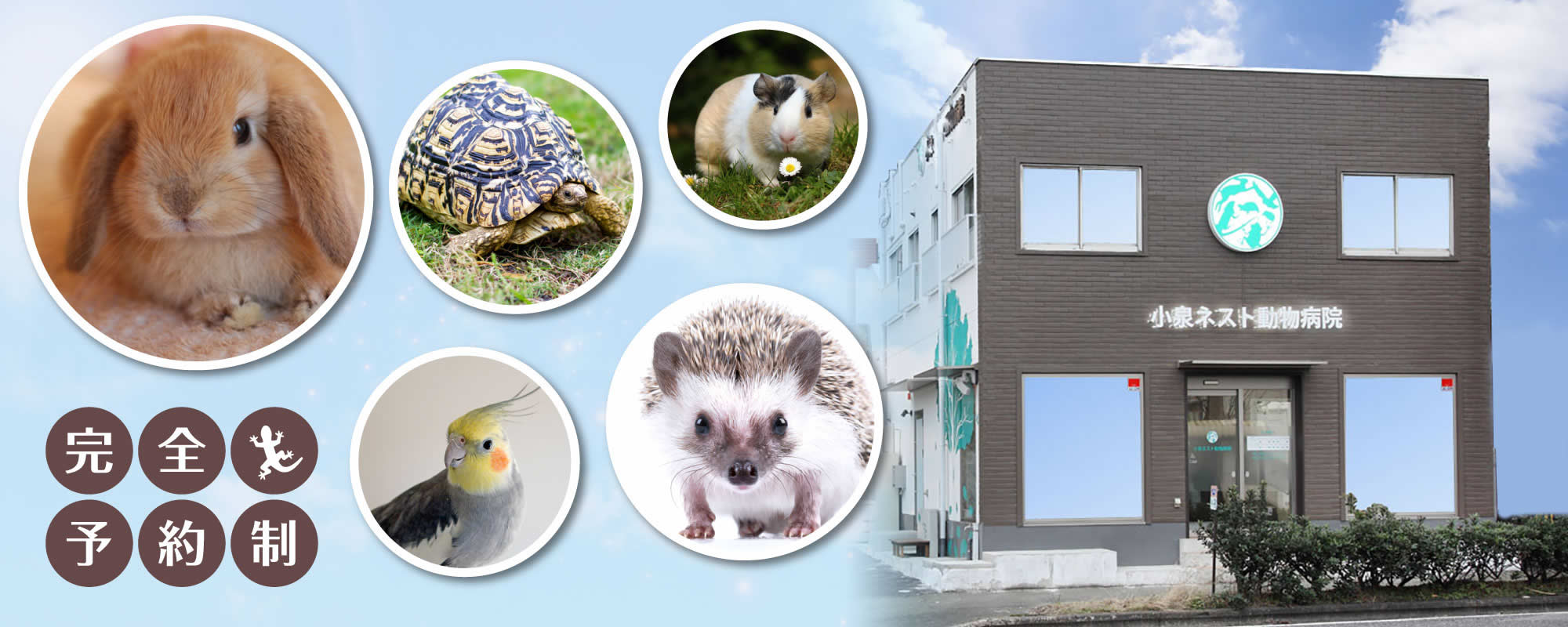 小泉ネスト動物病院