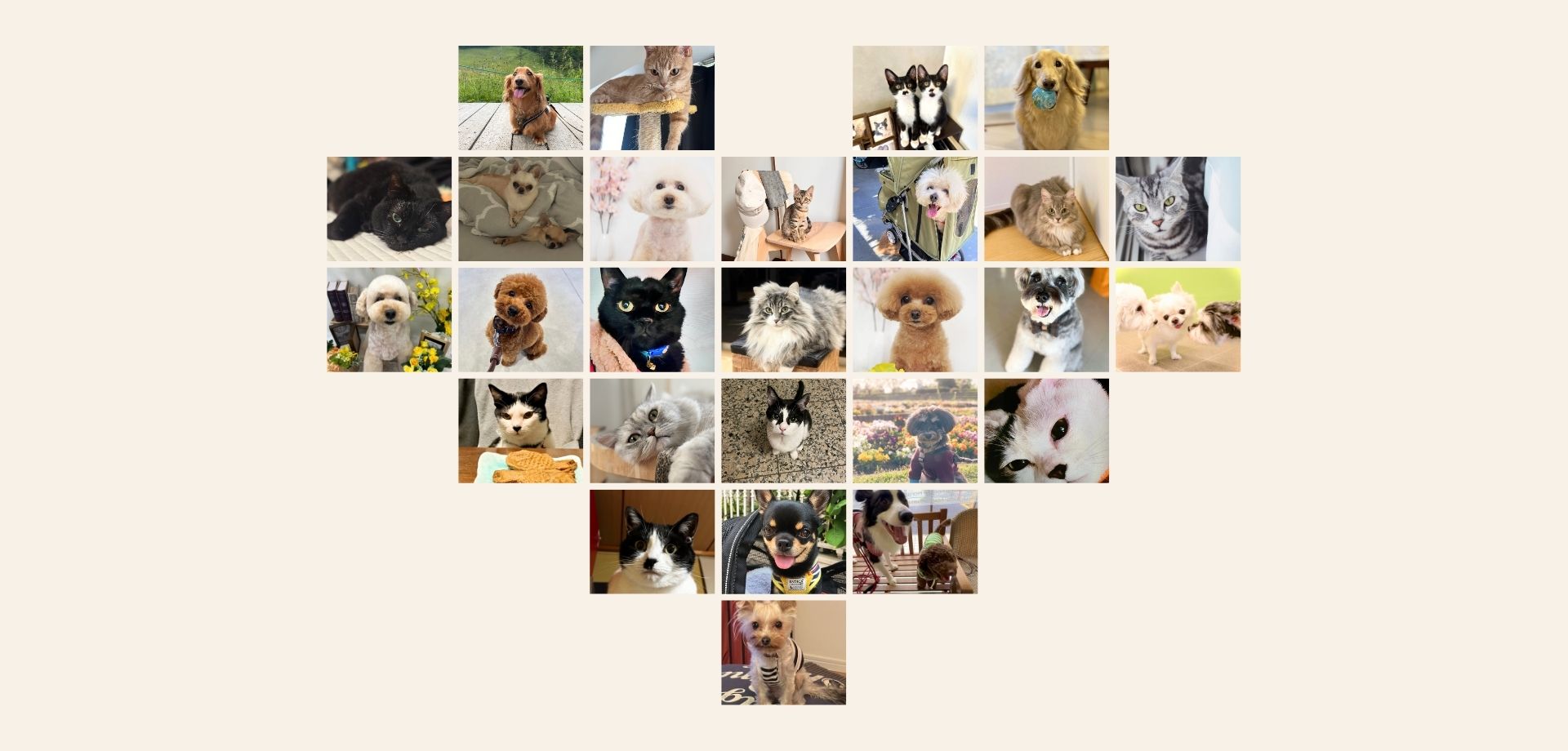 目黒モナーク動物病院