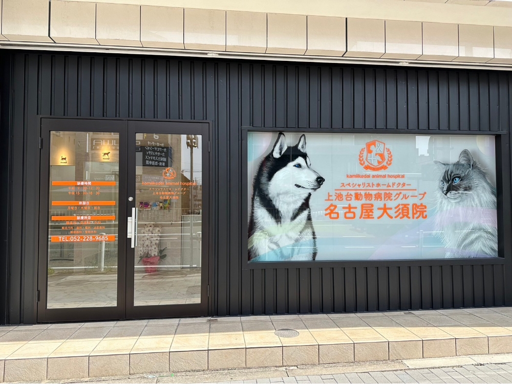 スペシャリストホームドクター 上池台動物病院グループ 名古屋大須院