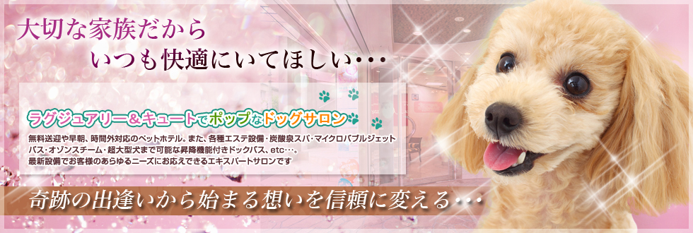 ドッグサロン　わんだーらんど