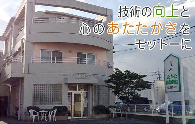 たかた動物病院