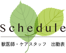 本駒込動物病院