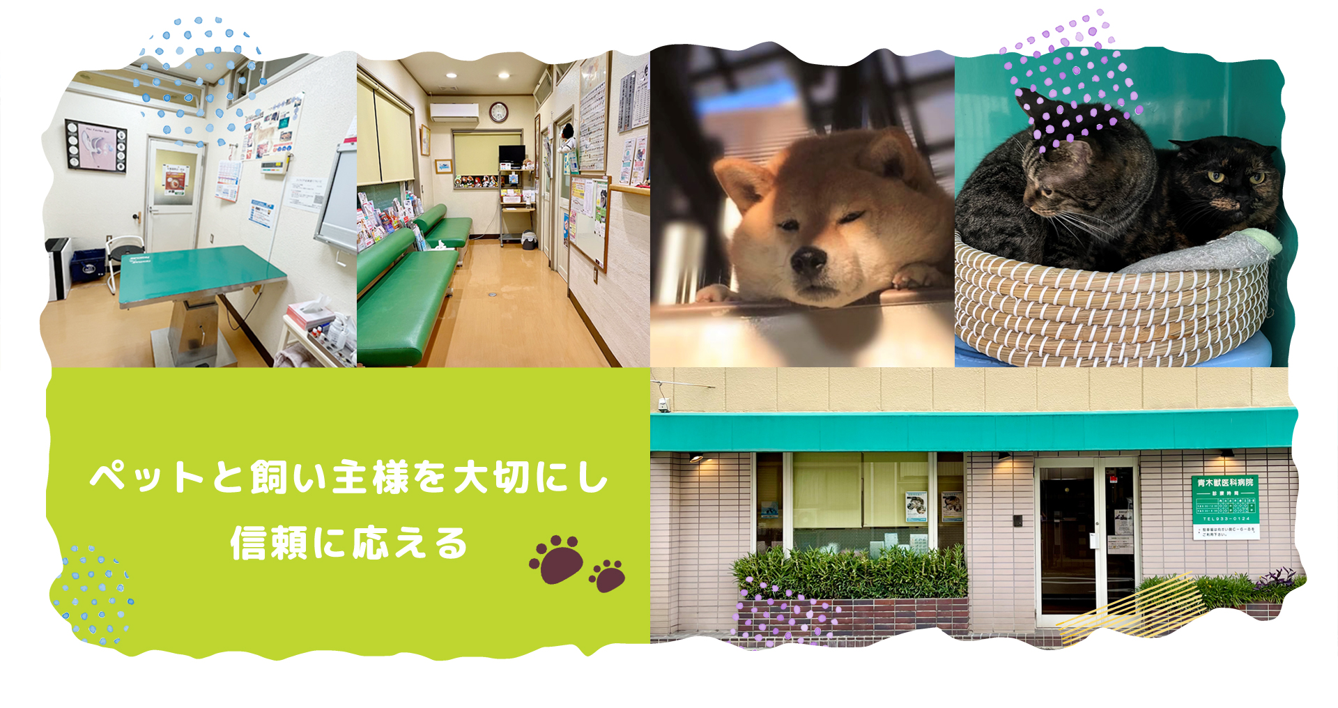 青木獣医科病院