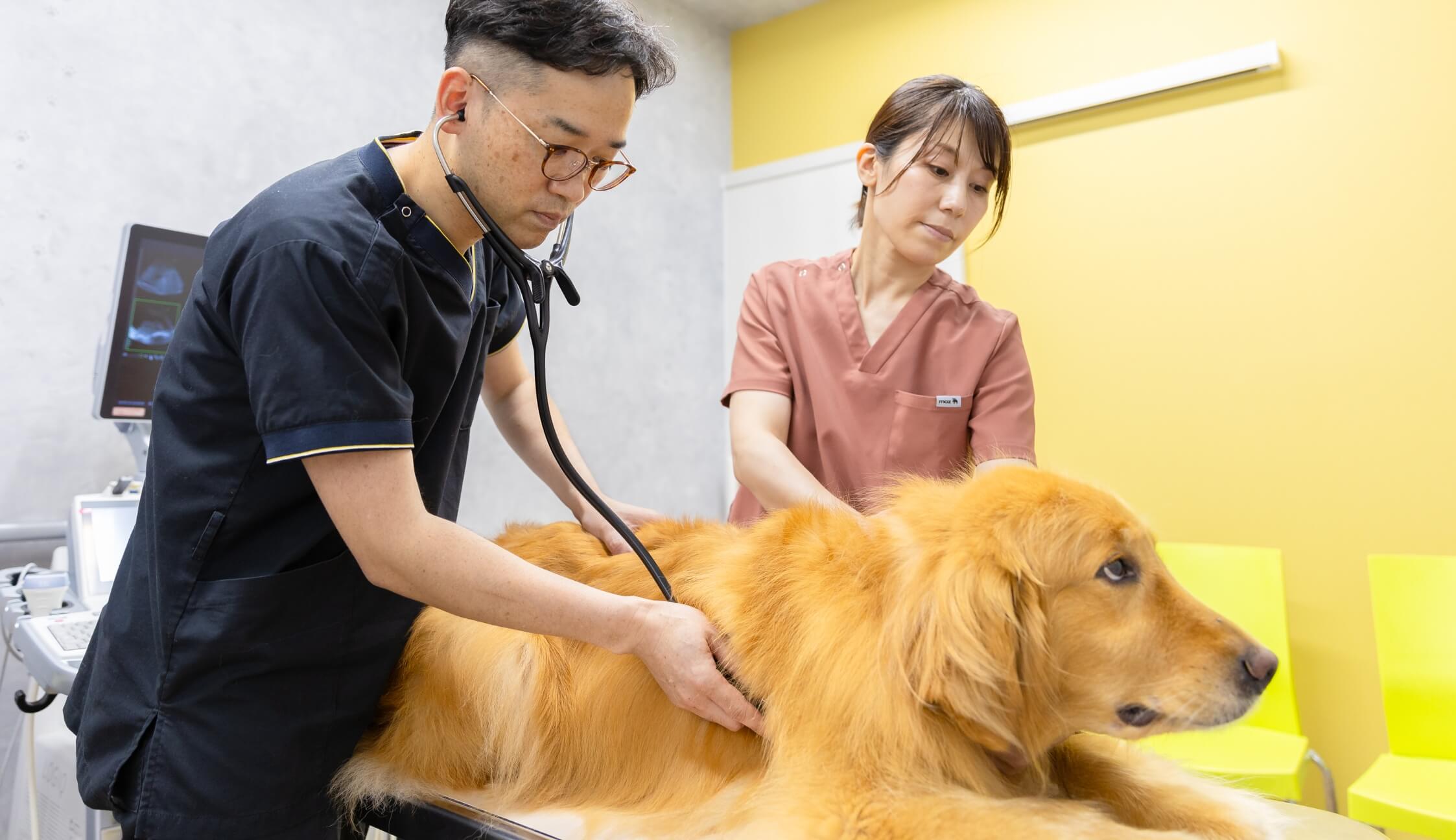 恵那さくら動物クリニック