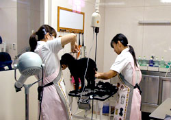 みずほ動物の病院