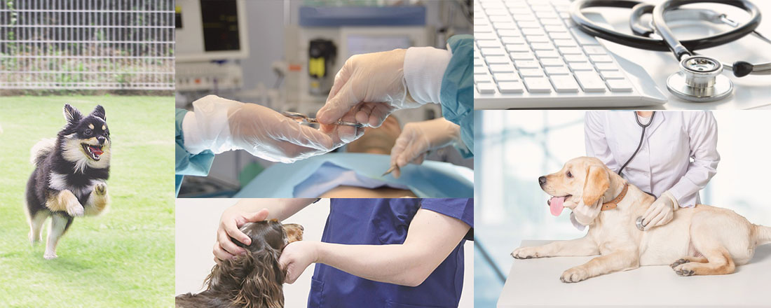 フェンネル動物病院 中野医院