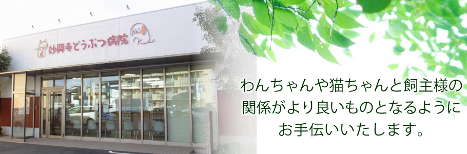 妙興寺どうぶつ病院