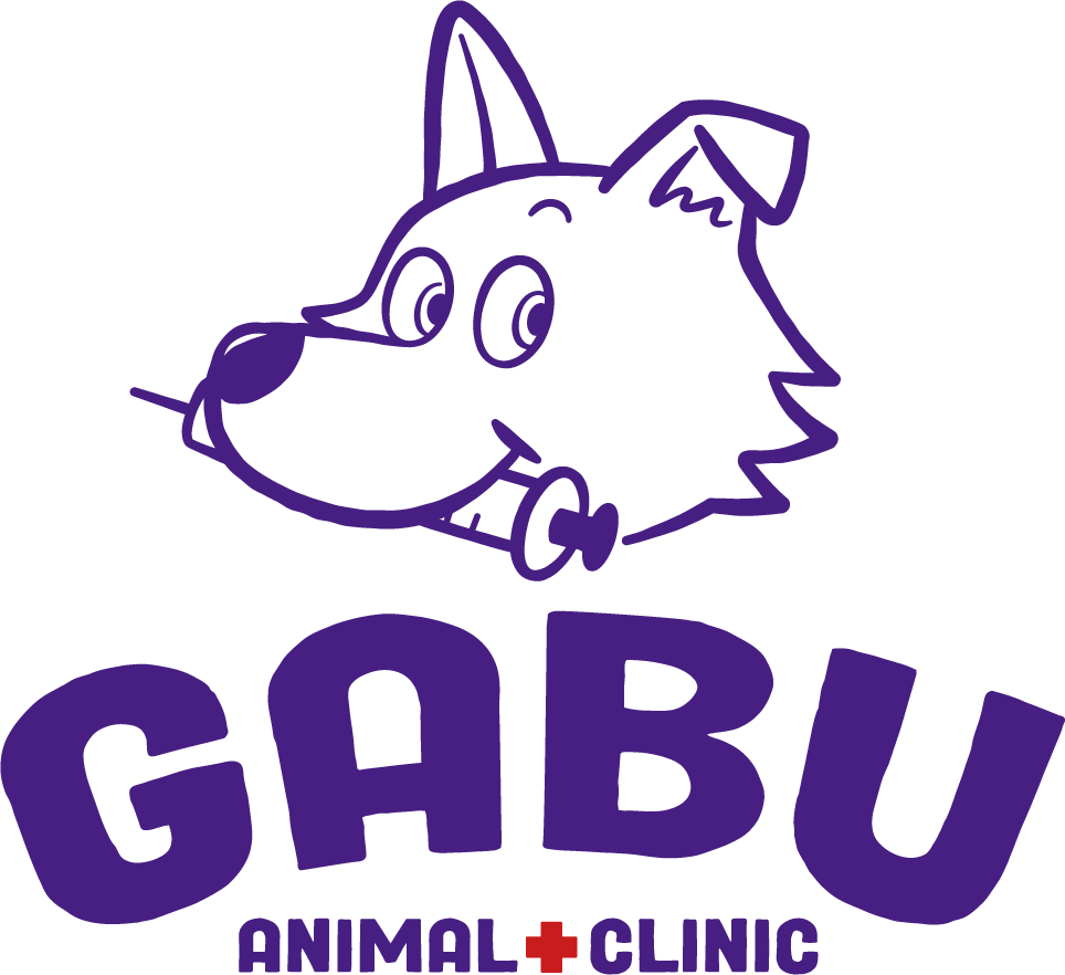 ガブ動物病院