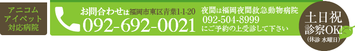 青葉動物病院