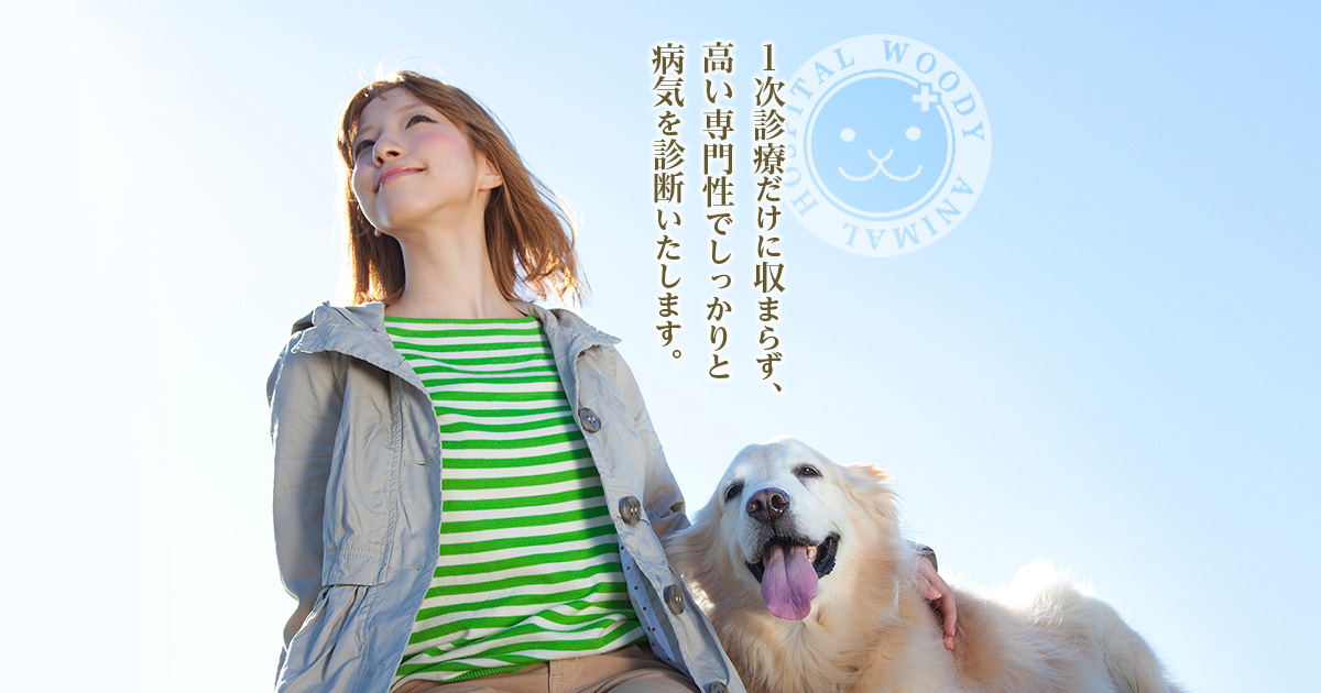 ウッディ動物病院