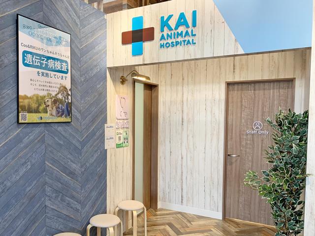 海動物病院　神戸東灘往診所