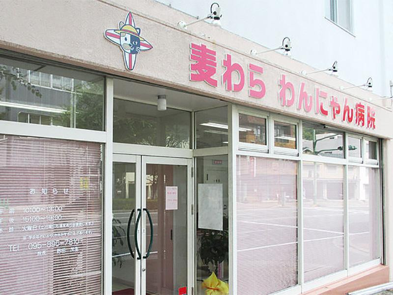 麦わらわんにゃん病院