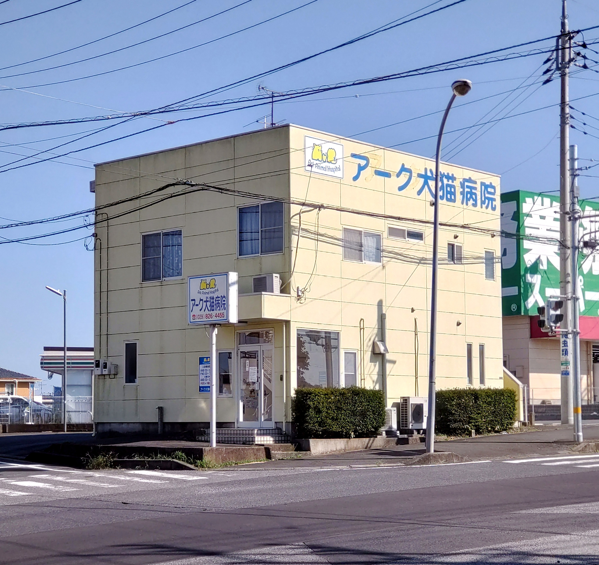 アーク犬猫病院