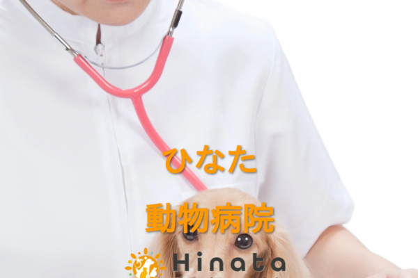 ひなた動物病院