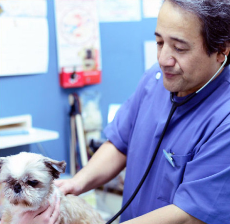 ハーティ動物病院/美園病院