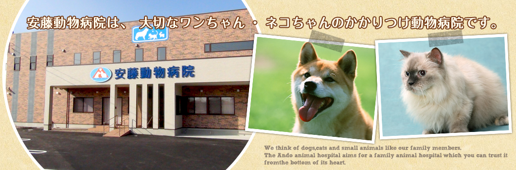 安藤動物病院