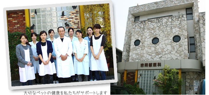 吉岡獣医科病院