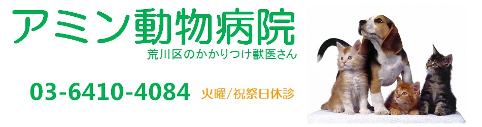 アミン動物病院