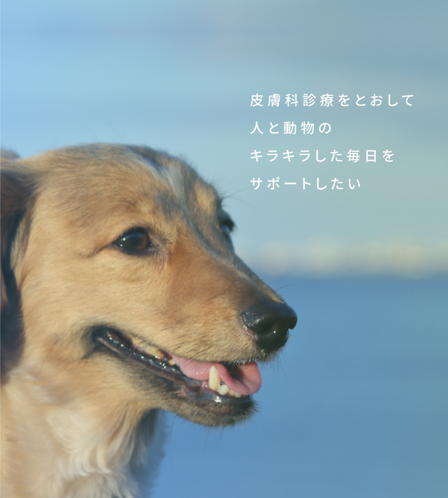 ​照葉ペットクリニック