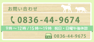 なかこし動物病院