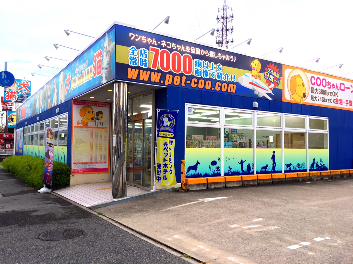 海動物病院　神戸垂水往診所