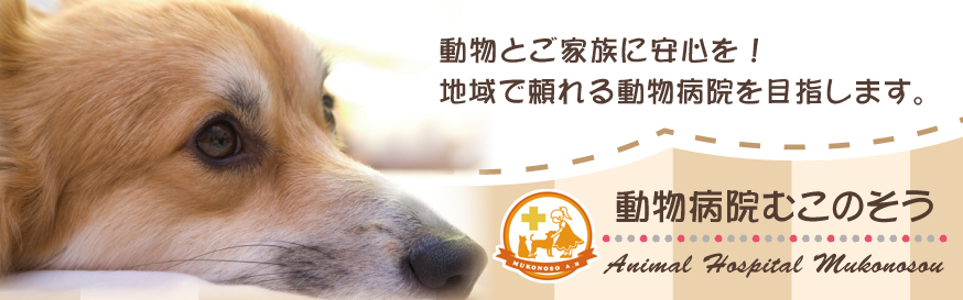 動物病院むこのそう