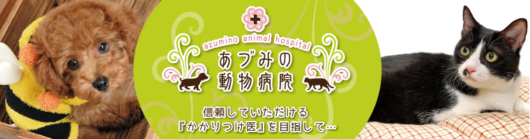 あづみの動物病院