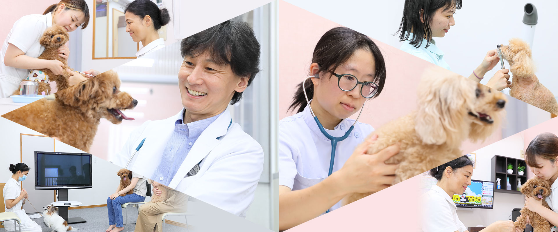 あいち動物病院