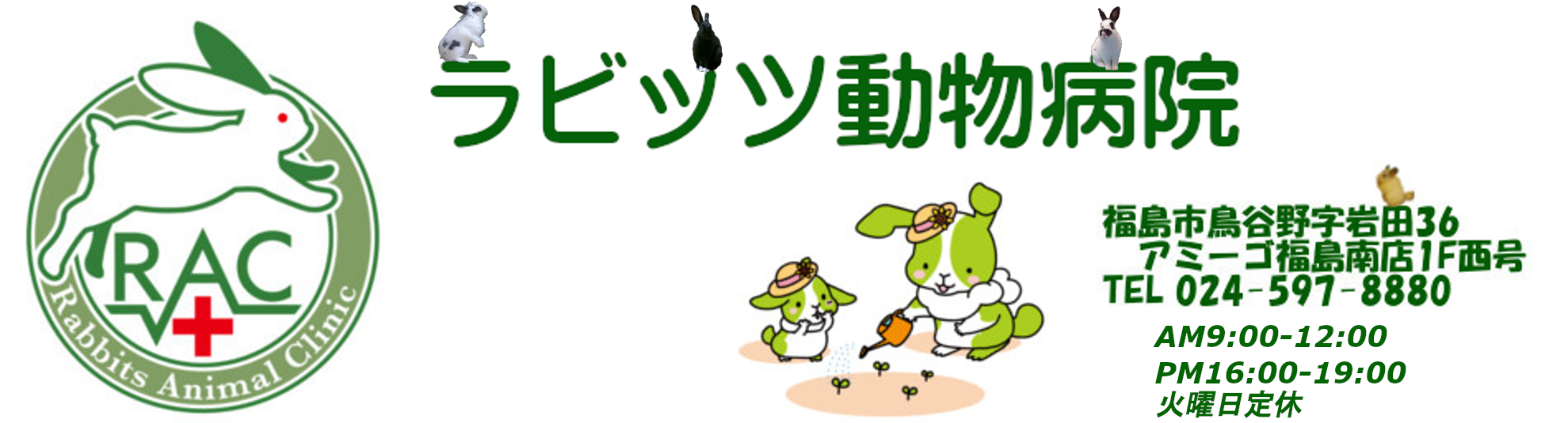 ラビッツ動物病院