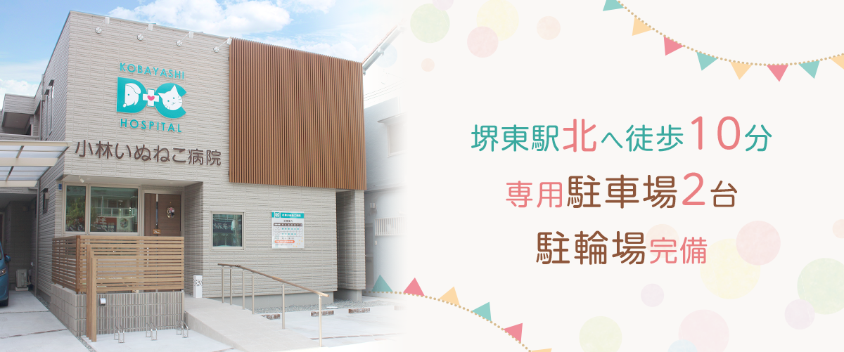 小林いぬねこ病院