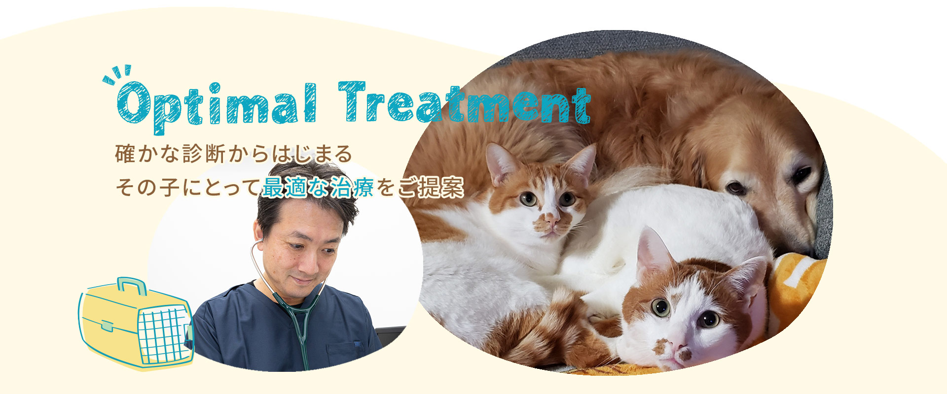 むっく動物病院