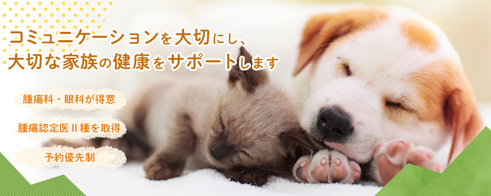 ジェームス山動物病院