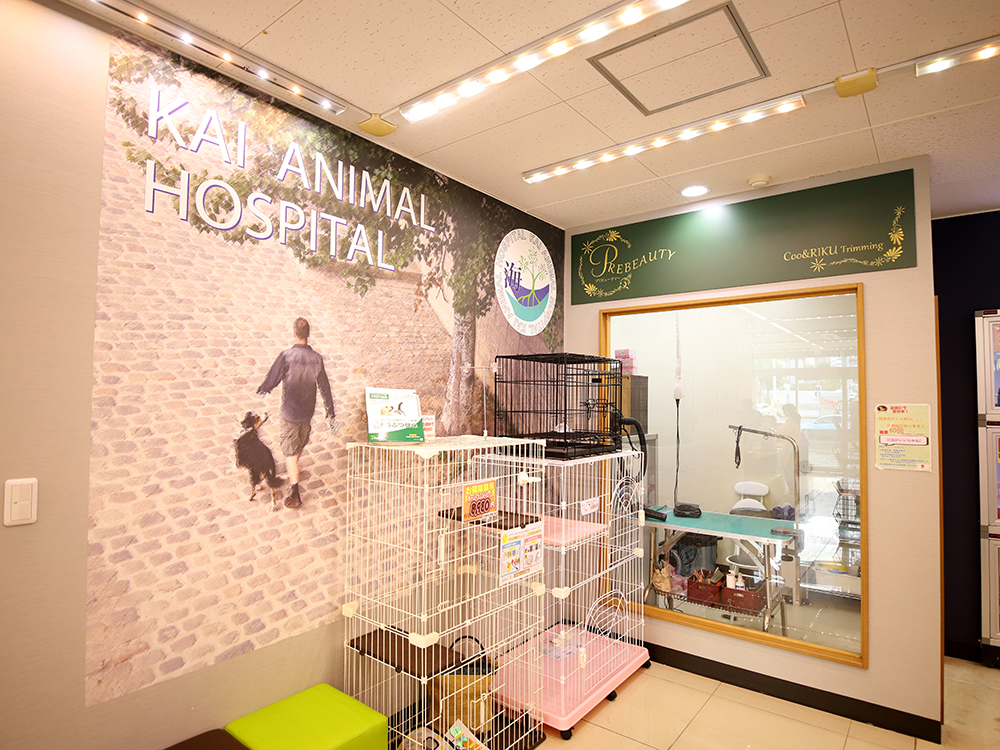 海動物病院　フレスポ住吉往診所