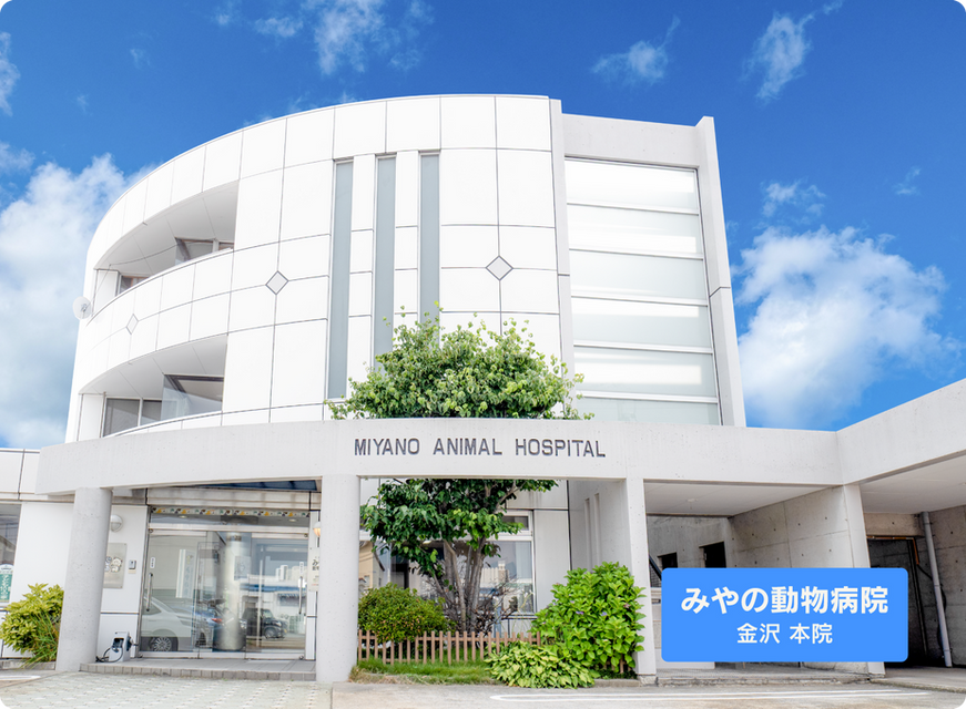 みやの動物病院