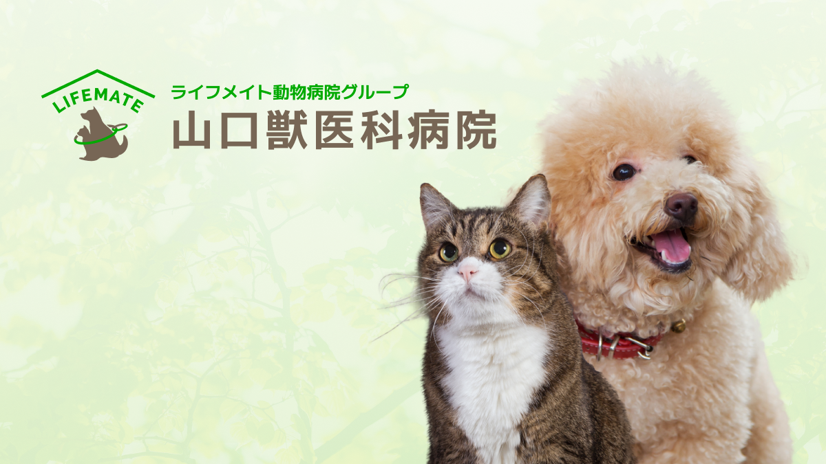山口獣医科病院
