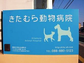 きたむら動物病院