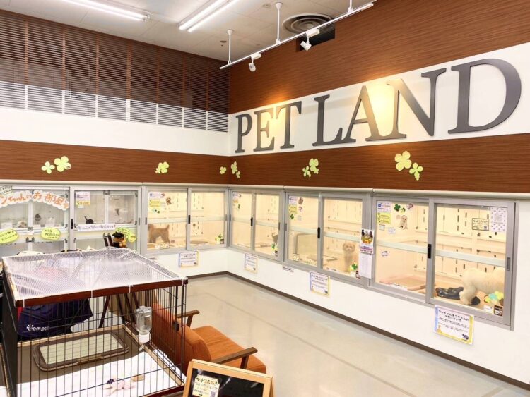 ディスワン桂店